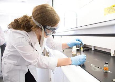 A student doing research in the INBRE lab